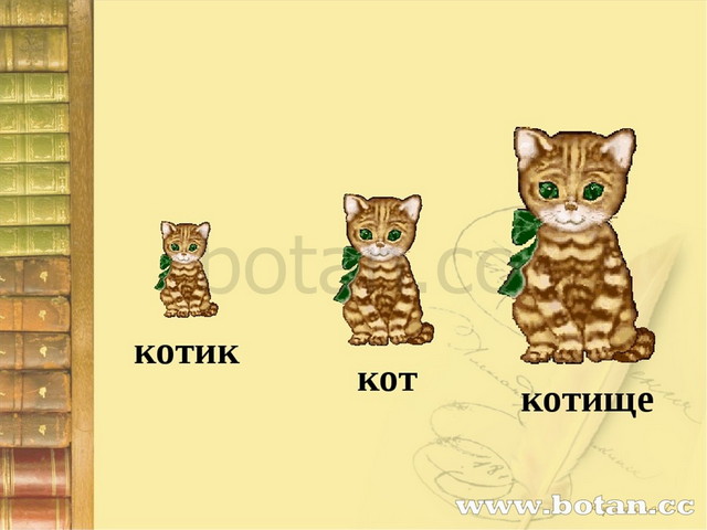 Кот котище однокоренные слова