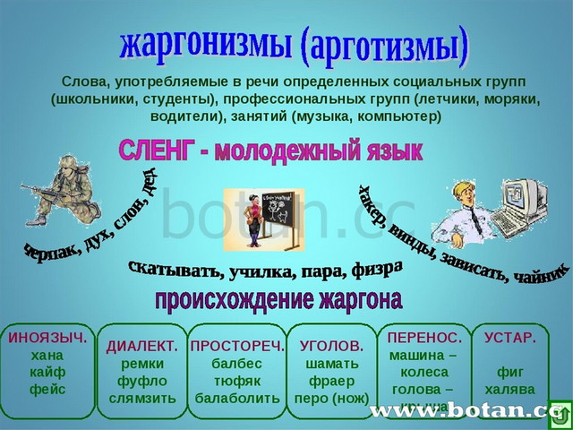 Жаргоны и культура речи презентация