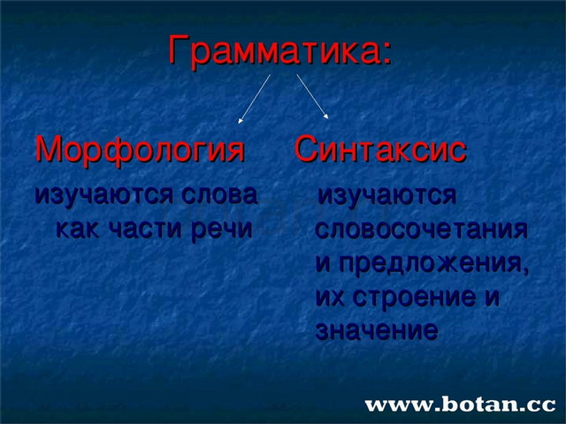 Повторение по теме морфология 7 класс презентация