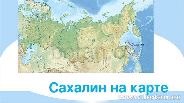 Презентация про сахалин