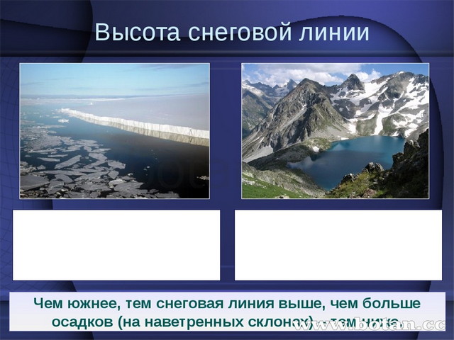 Ледники снеговая линия. Снеговая линия. Высота Снеговой линии. Снеговая линия это в географии. Самая высокая снеговая линия.