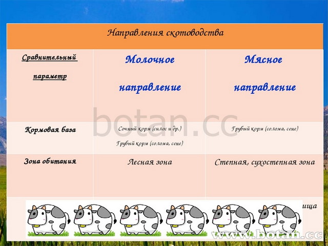 Животноводство 9 класс география презентация