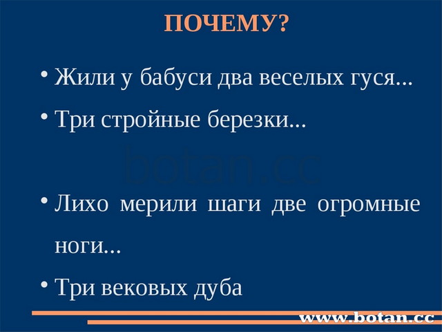 ПОЧЕМУ? Жили у бабуси два веселых гуся... Три стройные березки... Лихо мерили...