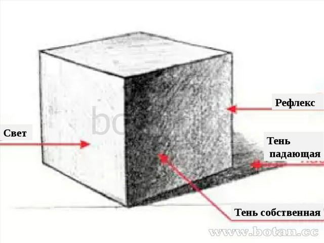 Презентация по искусству 7 класс