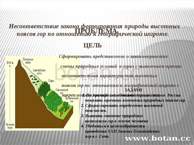 По рисунку 114 расскажите об особенностях высотной поясности в андах