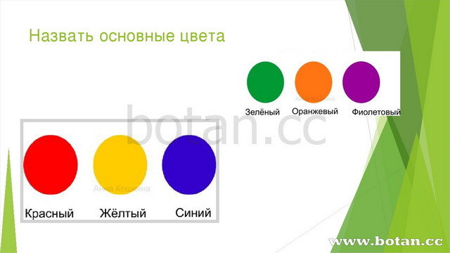 Как называется цвет которым рисуют