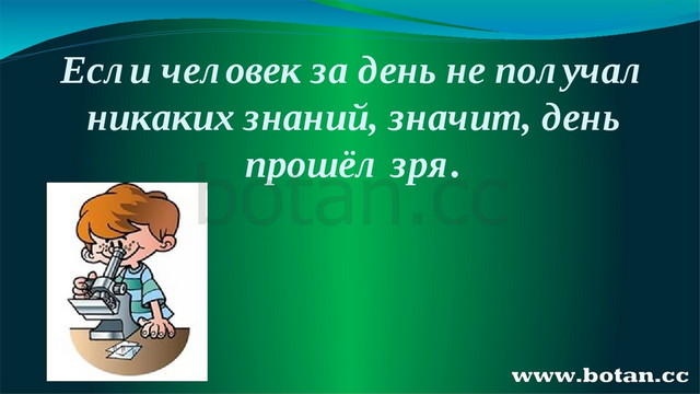 Презентация урока русского языка 4 класс