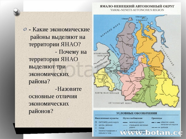 Развитие ямало ненецкого автономного округа