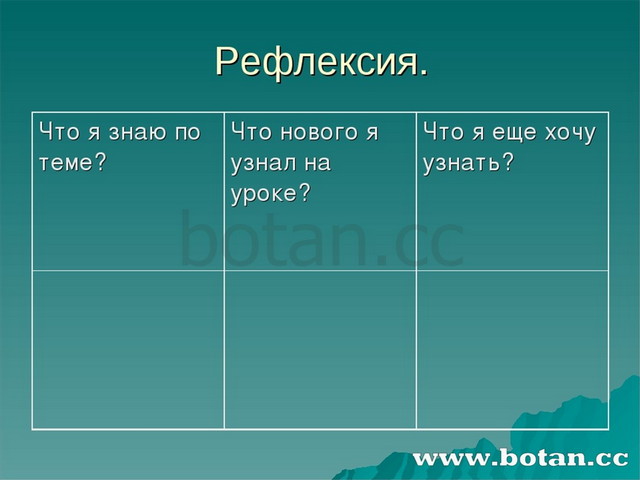 Царства живой природы 6 класс география домогацких презентация