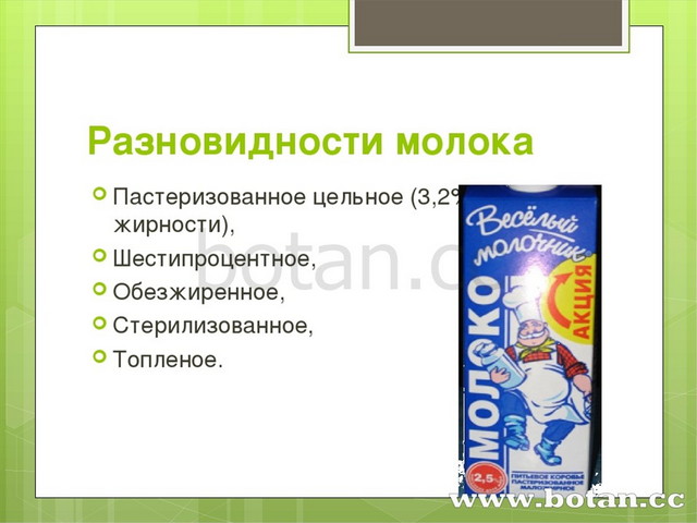 Презентация кисломолочные товары