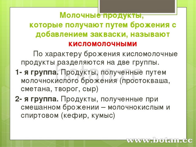 История создания кисломолочных продуктов презентация