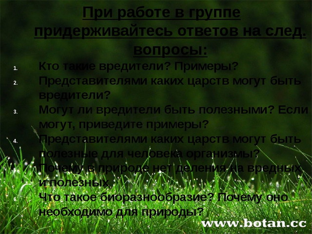 Презентация по биологии на тему Значение живых организмов