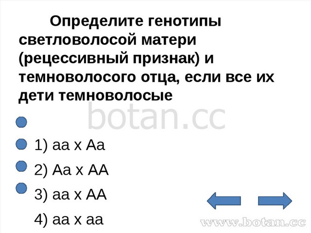 Определите генотипы светловолосой матери и темноволосого отца