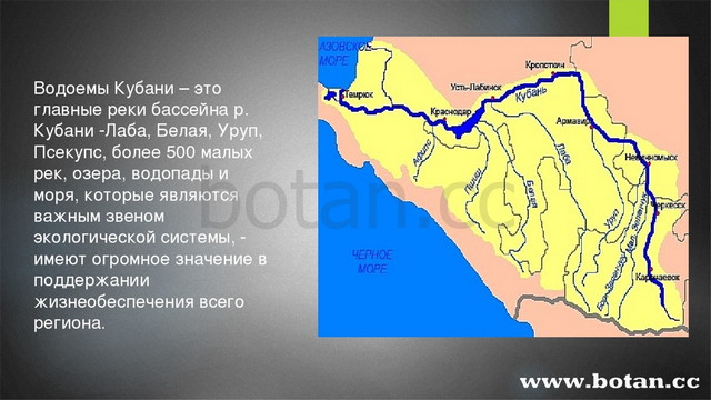 Современная кубань проект по кубановедению