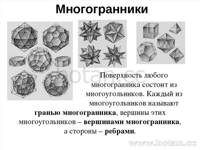 Презентация на тему многогранники 5 класс по математике