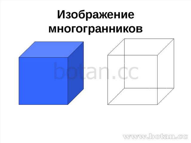 Проект по математике 5 класс геометрические тела в окружающем мире 5 класс