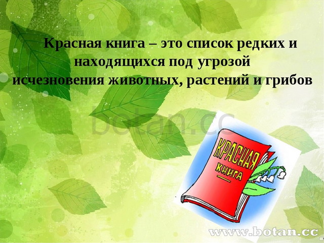 Презентация красная книга для детей подготовительной группы