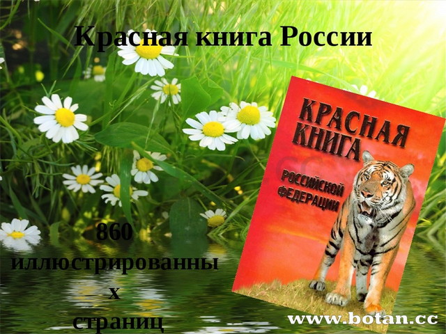 Презентация красная книга для детей подготовительной группы