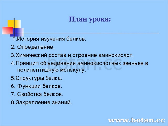 Презентация на тему белки по химии