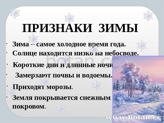 Характеристика зимних. Признаки зимы. Проект на тему зима. Презентация на тему зима. Призентац я на НМУ щима.