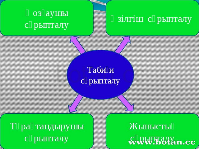 Табиғи сұрыпталу