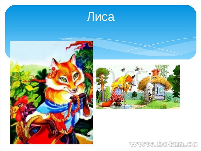 Лиса