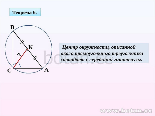 Можно ли описать окружность около треугольника. Центр описанной около прямоугольного треугольника. Центр окружности описанной около прямоугольного треугольника. Окружность описанная около прямоугольного треугольника. Теорема о центре окружности описанной около треугольника.