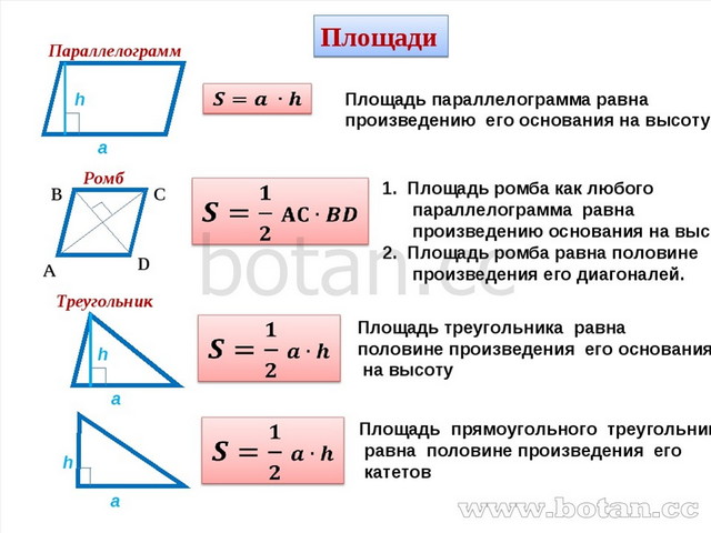 Площадь прямоугольника площадь параллелограмма