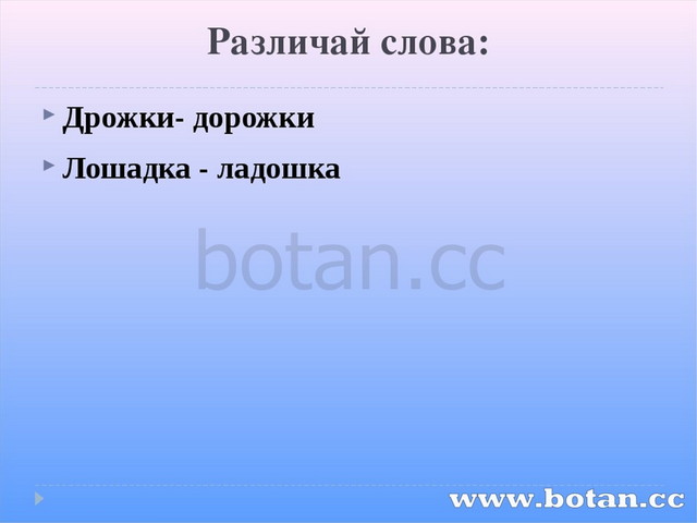 Количество запаховых объектов находящихся в одном ряду с эталоном образцом запаха