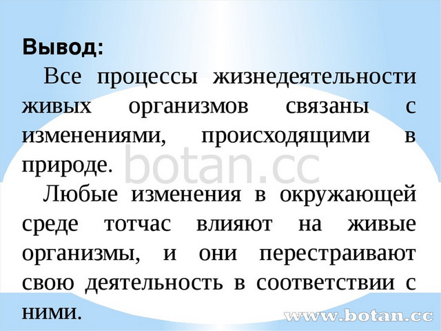 Презентация на тему жизнедеятельность организмов 5 класс