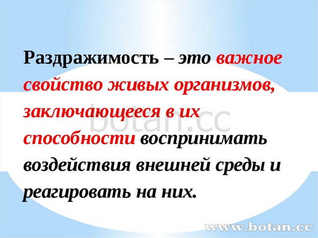 Раздражимость свойство живых организмов презентация