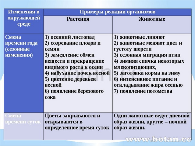 Раздражимость свойство живых организмов 6 класс презентация