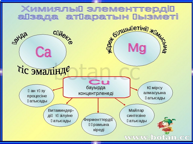 Жасыл химияның 12 принципі презентация