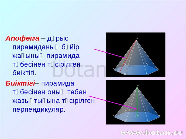 Конус презентация 11 сынып