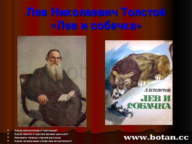 Лев толстой главная мысль. Лев Николаевич толстой собачка. Лев Николаевич толстой Лев и собачка текст. Биография л. н. толстой для 2 класса Лев и собака. Толстой Лев и собачка 3 класс.