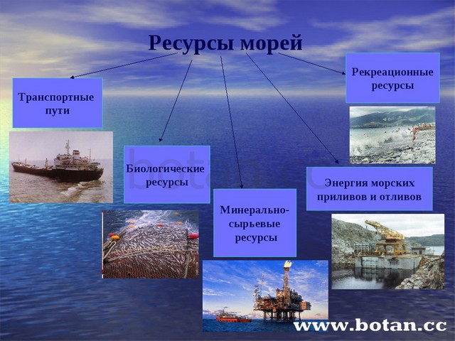 Проект на тему моря россии