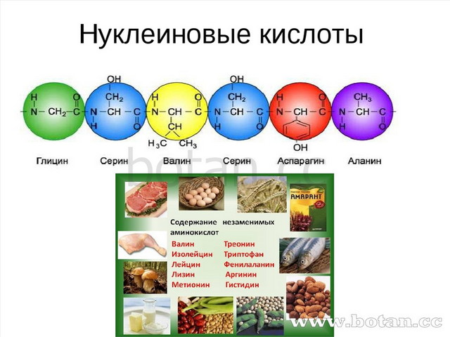 Презентация полимеры 11 класс