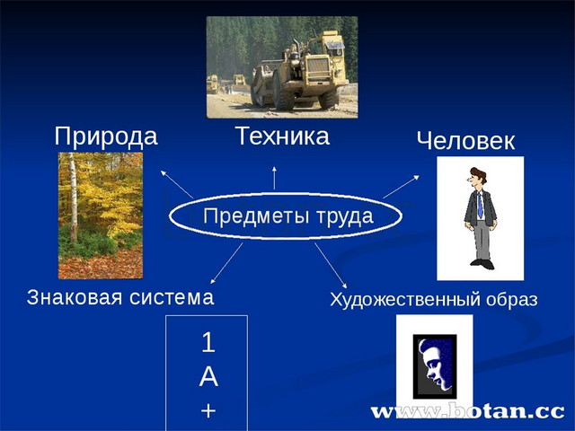 Публичное управление в сфере профессиональной деятельности презентация