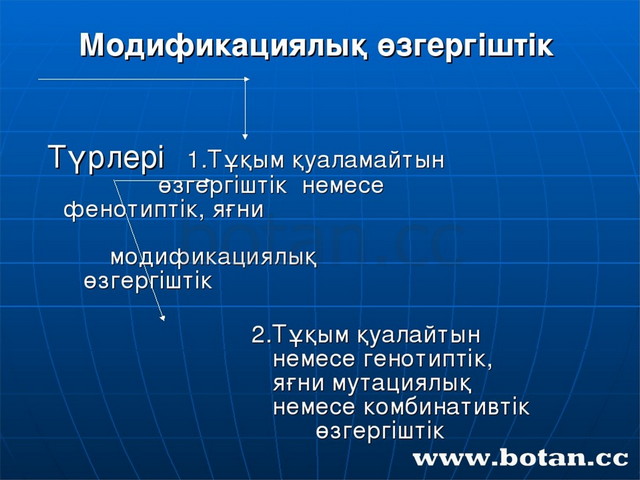 Модификациялық өзгергіштік презентация