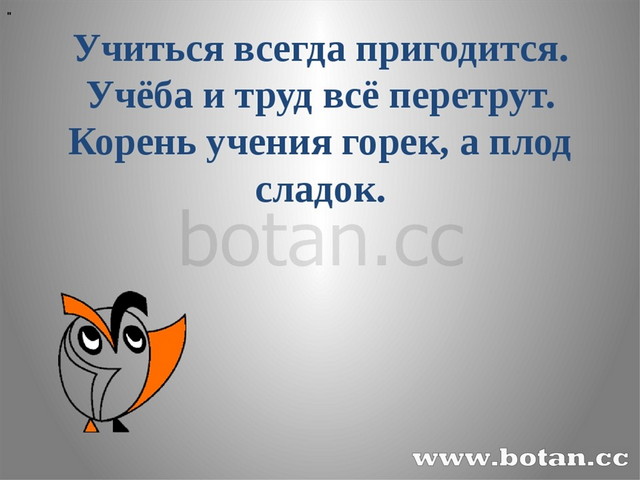 Однокоренные слова 3 класс презентация школа россии