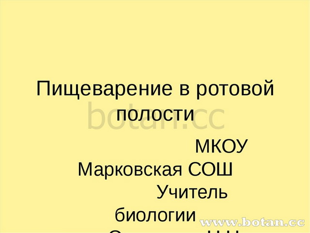 Презентация на тему пищеварение в ротовой полости 8 класс биология