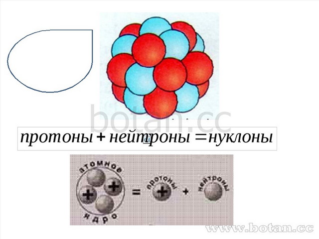 На рисунке изображена модель ядра атома