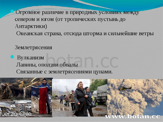 Презентация по чили