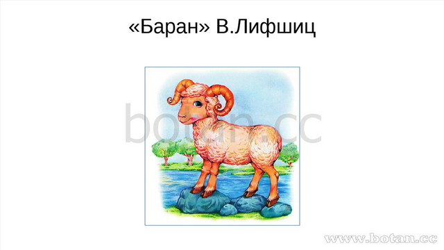 План к стихотворению бараны