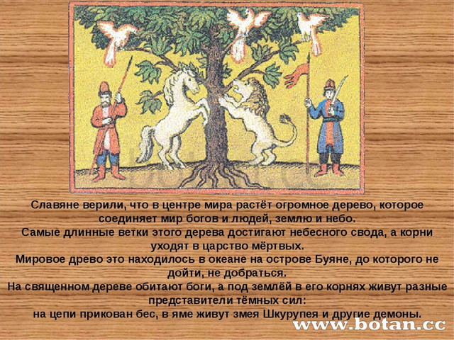 Что означает дерево. Мировое дерево у славян. Мировое Древо явь Навь Правь. Мировое Древо Славь Правь. Древо жизни древних славян 5 класс.