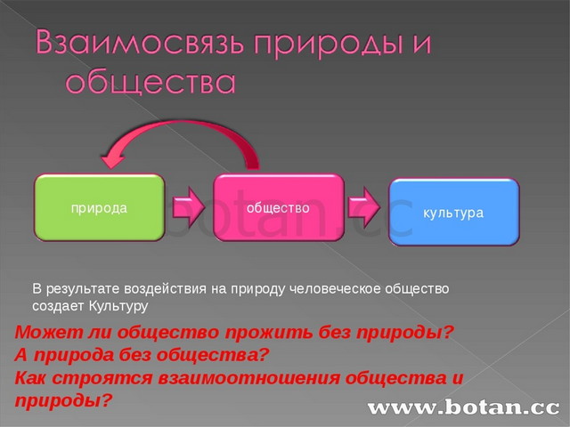 Когда возможности ограничены обществознание 6 класс презентация боголюбов