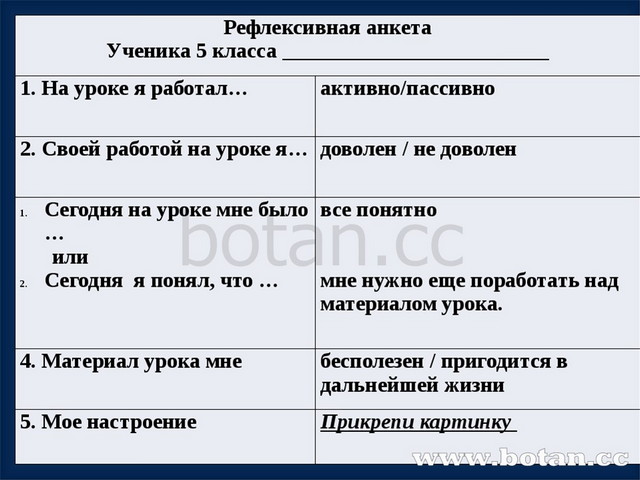 Сочинение по интерьеру комнаты 6 класс