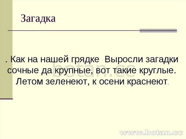 Путешествие по южной америке 5 класс география презентация