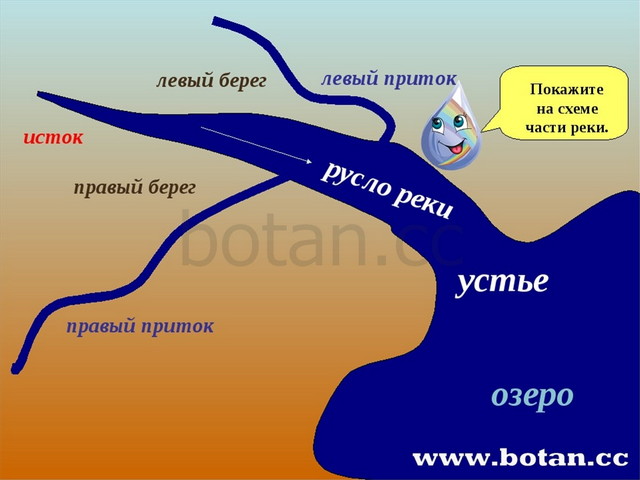 Водные богатства 2 класс окружающий мир презентация