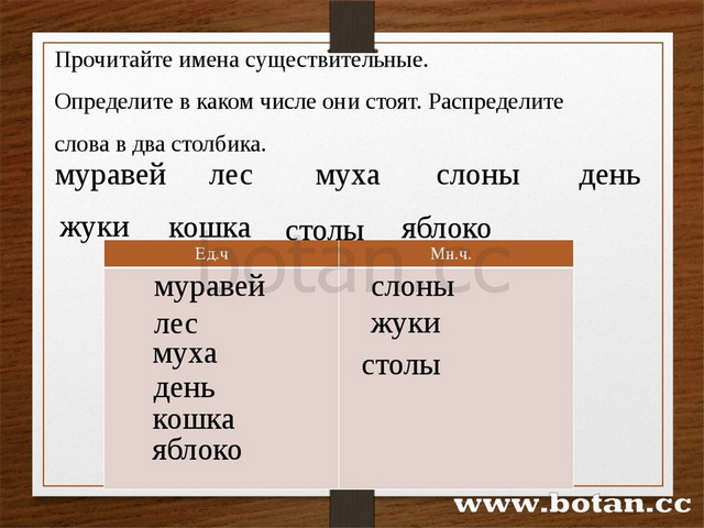 Распределите существительные на три группы